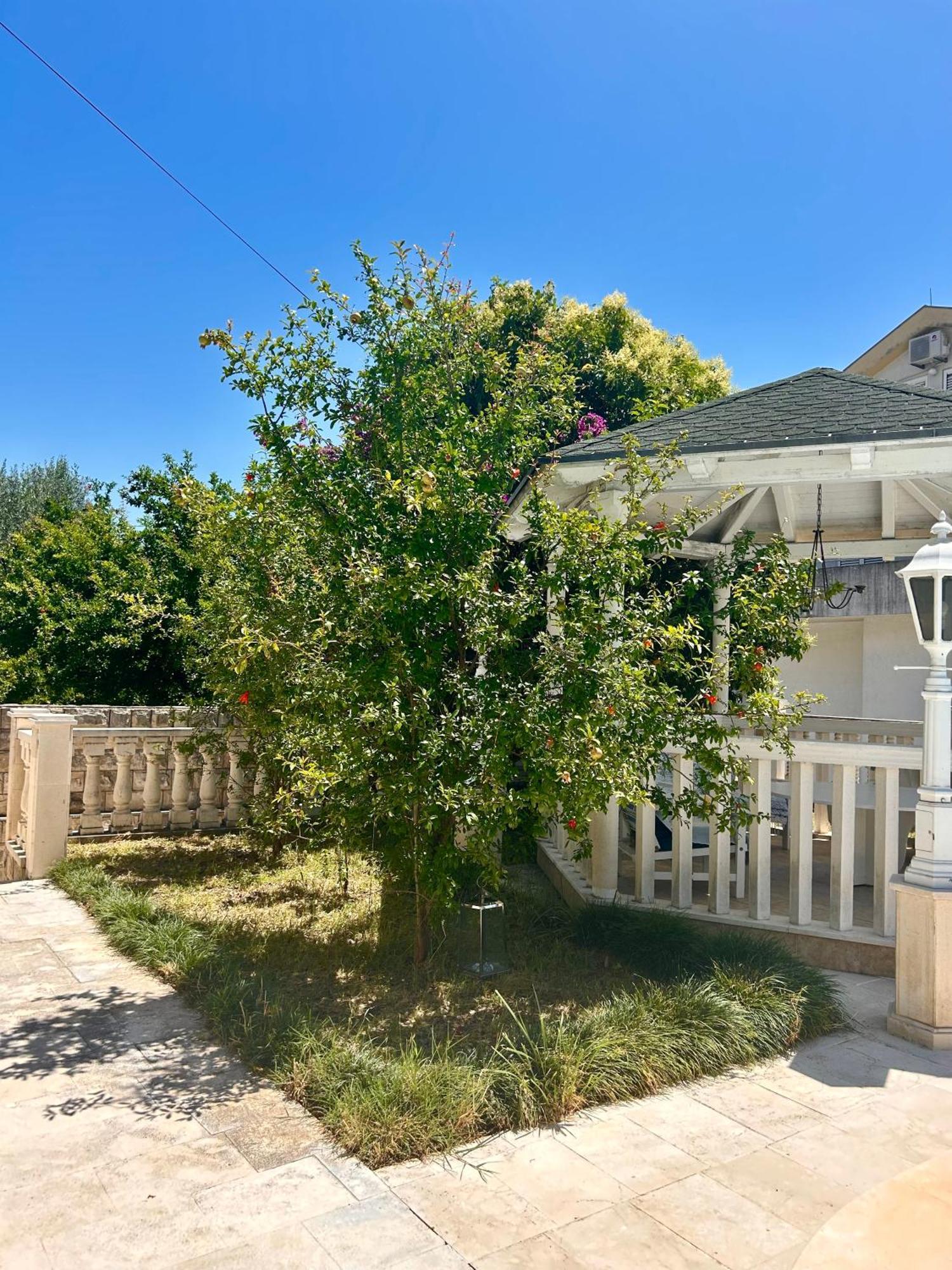 Guest House Vila Eli 赫尔采格诺维 外观 照片